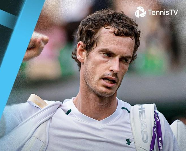 英国网球队横扫日本网球队，穆雷爆发神勇的简单介绍