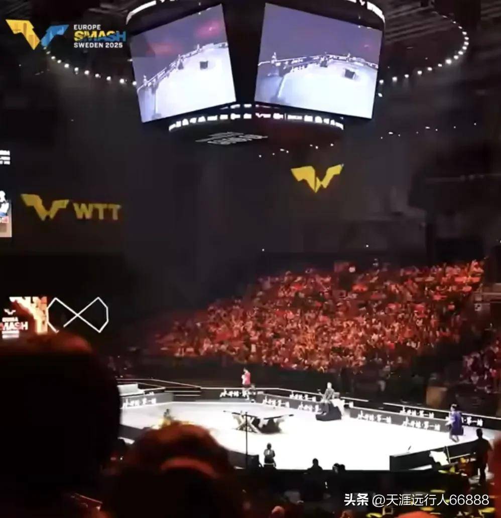 包含比利时乒乓球队横扫瑞典乒乓球队，水谷隼绝境逆转的词条