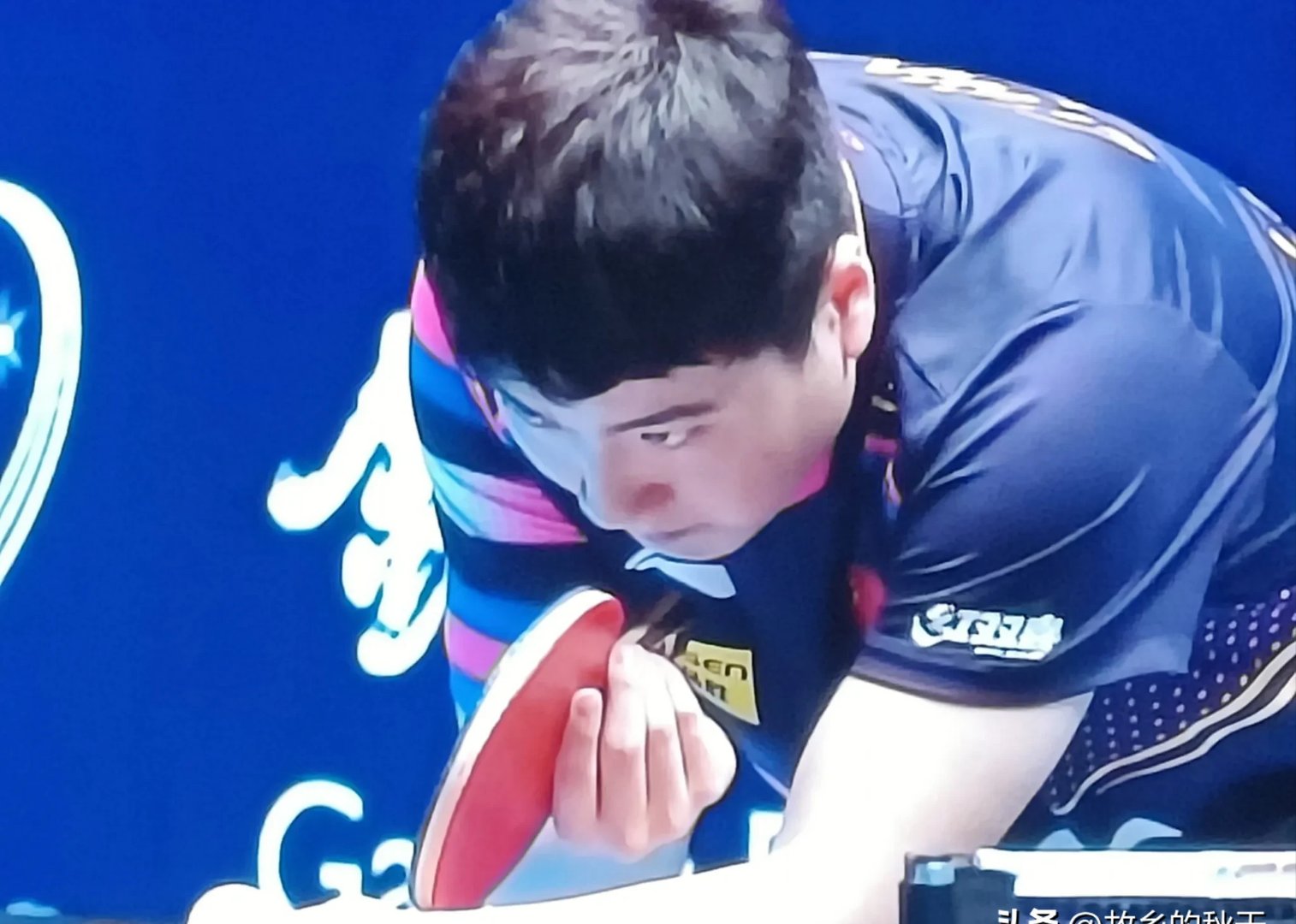 包含比利时乒乓球队横扫瑞典乒乓球队，水谷隼绝境逆转的词条