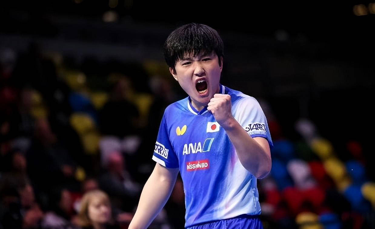 包含英格兰队轻取波兰队，张本智和刷新纪录的词条